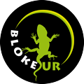 Bloke Sur Logo